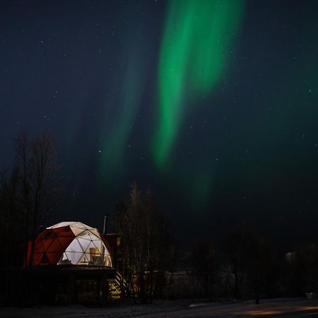 Aera - Glass Cabins Tromsø Esterno foto
