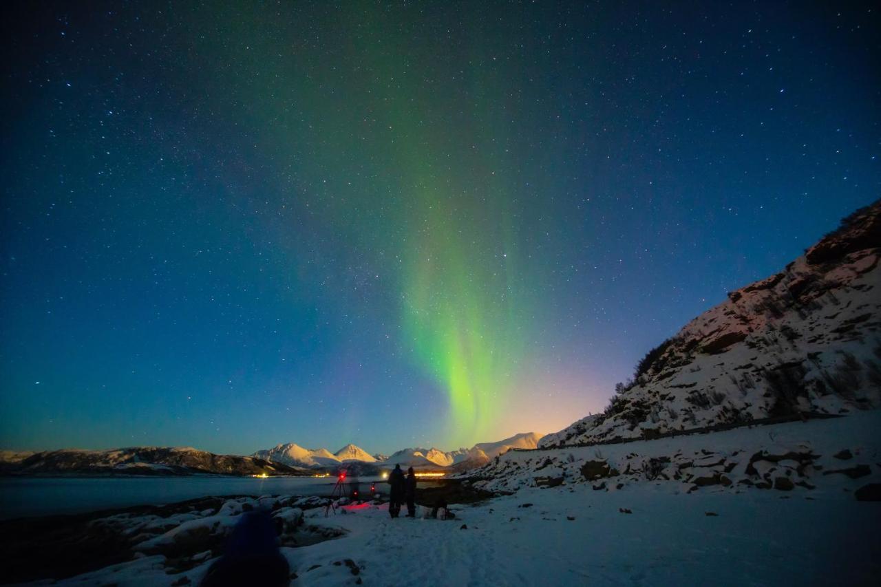 Aera - Glass Cabins Tromsø Esterno foto